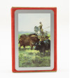 Bullfighting card deck