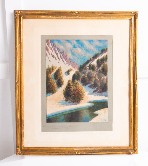 Cadre vallée avec sapins