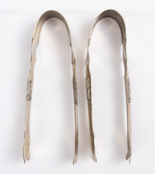 Pinces à glace (2 unités)